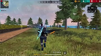 Botei molher pra lavar louça