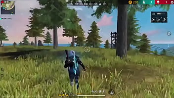 Botei molher pra lavar louça