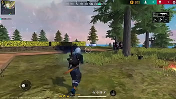 Botei molher pra lavar louça