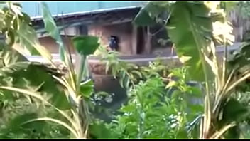 Como ser um lobinho transante