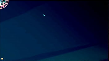 Touch the cow do it now