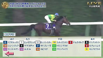 スプリンターズステークス　三浦皇成　ウインカーネリアン