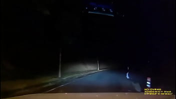 Stupid drivers cause accidents