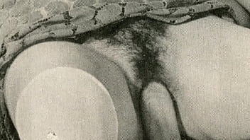 'retro glimpse' from my secret life the erotic memoirs of a victorian gentleman 'retro glimpse' from my secret life the erotic memoirs of a victorian gentleman