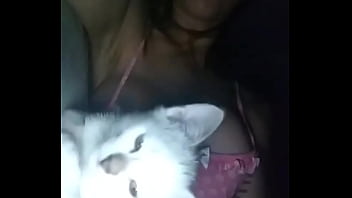Gatinho