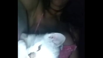 Gatinho