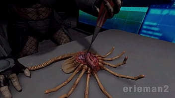 Avp maternity ward hive