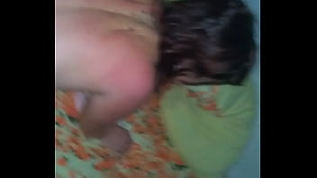 Arrombando o girasol rosa