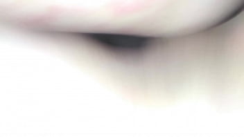 Who let the dogs out