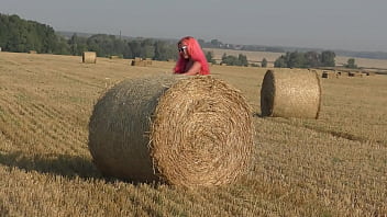 Bikini hay rolls and field