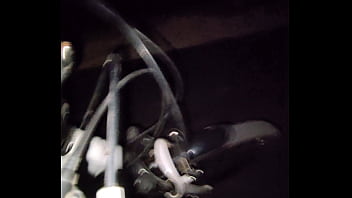 Видео для верификации