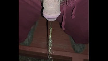 Kaso221 pissing off my porch