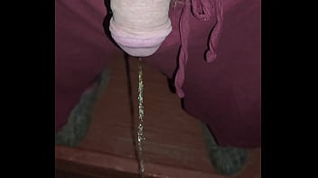 Kaso221 pissing off my porch