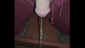 Kaso221 pissing off my porch