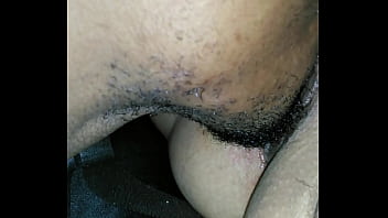 King puma eating puma