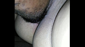 King puma eating puma