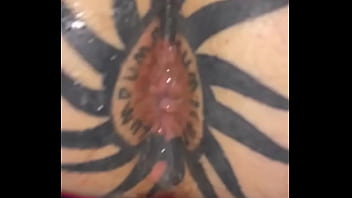 Taggedslut uk breeding pig