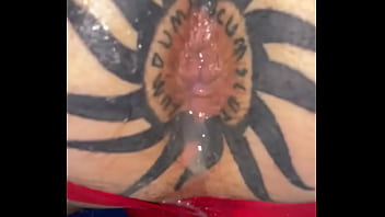 Taggedslut uk breeding pig