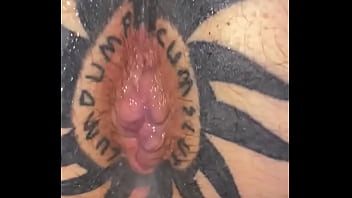 Taggedslut uk breeding pig