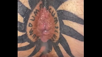 Taggedslut uk breeding pig