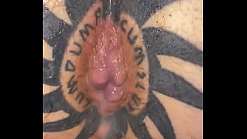 Taggedslut uk breeding pig