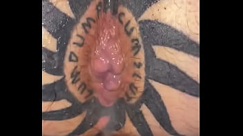 Taggedslut uk breeding pig