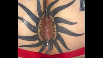 Taggedslut uk breeding pig