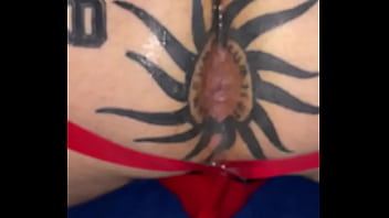 Taggedslut uk breeding pig