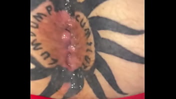 Taggedslut uk breeding pig