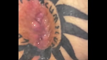 Taggedslut uk breeding pig