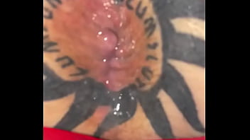 Taggedslut uk breeding pig