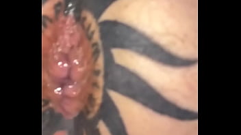 Taggedslut uk breeding pig