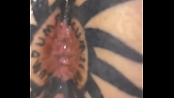 Taggedslut uk breeding pig