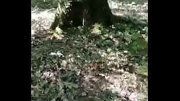 Nouveau teaser gratuit hard mission impossible n° 5la forêt si tu veux