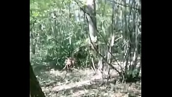 Nouveau teaser gratuit hard mission impossible n° 5la forêt si tu veux