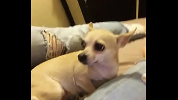 My with my sweetheart