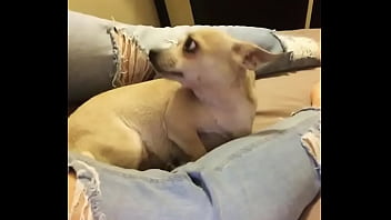 My With My Sweetheart thumbnail