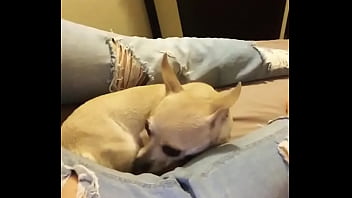 My with my sweetheart