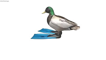 Pato girando con música de geometry dash de fondo