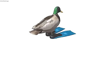 Pato girando con música de geometry dash de fondo