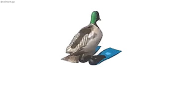 Pato girando con música de geometry dash de fondo