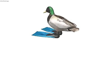 Pato girando con música de geometry dash de fondo