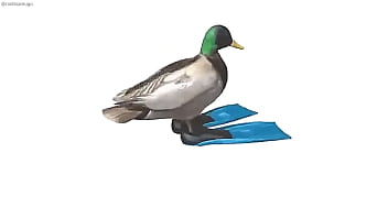 Pato girando con música de geometry dash de fondo