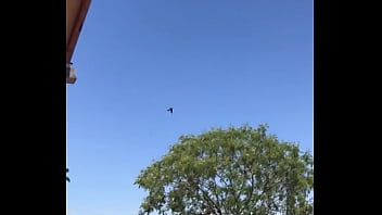 Tengo la mea pichula