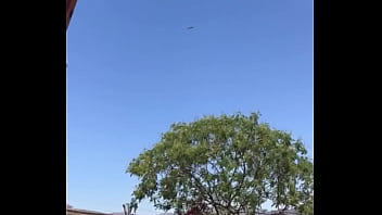 Tengo la mea pichula