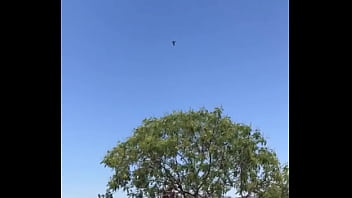 Tengo la mea pichula