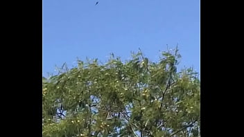 Tengo la mea pichula