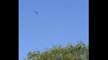 Tengo la mea pichula