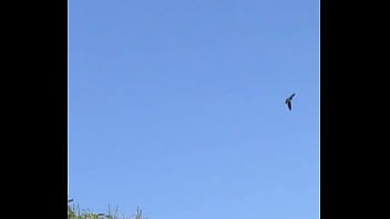 Tengo la mea pichula