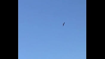 Tengo la mea pichula